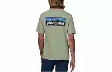 patagonia P-6Logo Responsibili LogoT