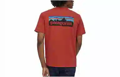 patagonia P-6Logo Responsibili LogoT