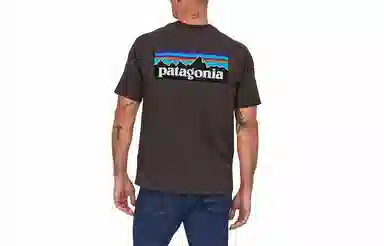 patagonia P-6Logo Responsibili LogoT