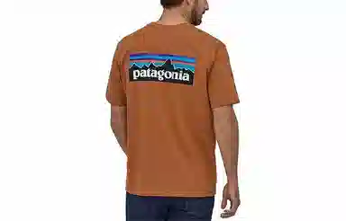 patagonia P-6Logo Responsibili LogoT