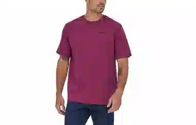 patagonia P-6Logo Responsibili LogoT