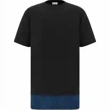 DIOR DIOR T