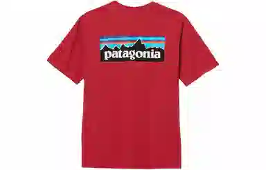 patagonia P-6Logo Responsibili LogoT