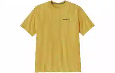 patagonia P-6Logo Responsibili LogoT
