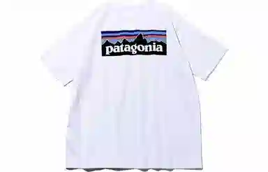 patagonia P-6Logo Responsibili LogoT