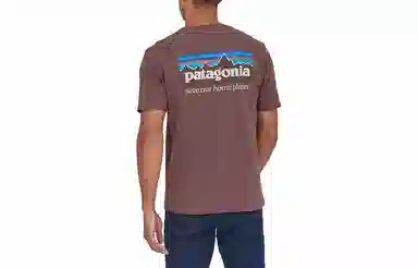 Patagonia P-6 Mission Organic T-shirt