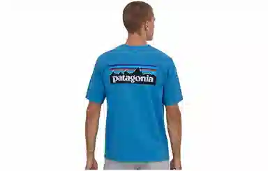 patagonia P-6Logo Responsibili LogoT