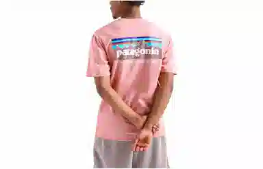 Patagonia P-6 Mission Organic T-shirt