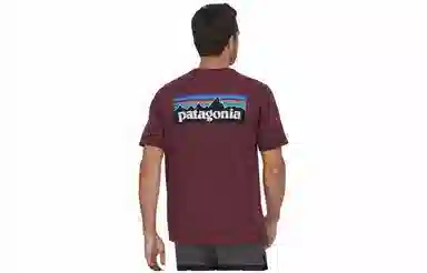 patagonia P-6Logo Responsibili LogoT