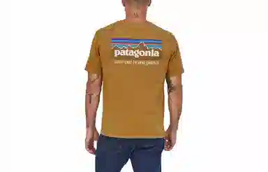 patagonia P-6 Mission Organic T-shirt LogoT