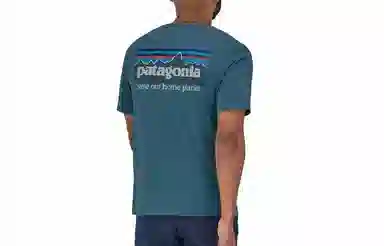 patagonia P-6 Mission Organic T-shirt LogoT