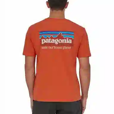 Patagonia P-6 Mission Organic T-shirt