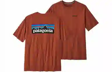 patagonia P-6Logo Responsibili LogoT