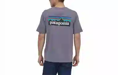 patagonia P-6Logo Responsibili LogoT
