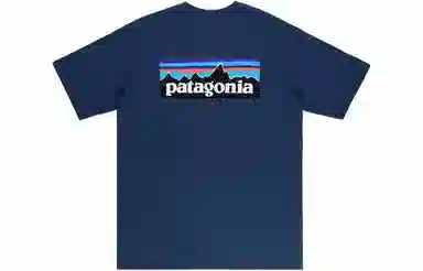 patagonia P-6Logo Responsibili LogoT