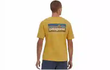 Patagonia P-6 Mission Organic T-shirt