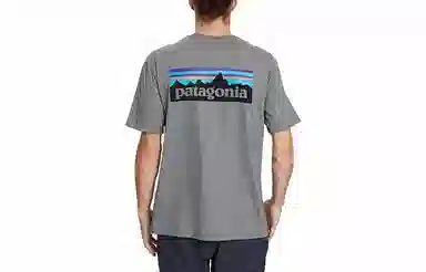 patagonia P-6Logo Responsibili LogoT