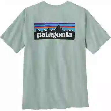 patagonia P-6Logo Responsibili LogoT