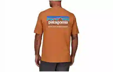 Patagonia P-6 Mission Organic T-shirt