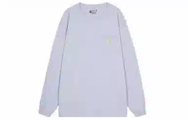 Carhartt K126 T