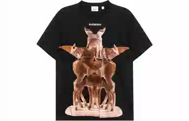Burberry T