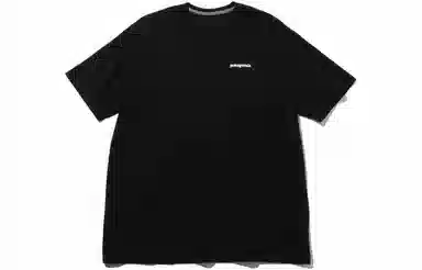 patagonia P-6Logo Responsibili LogoT