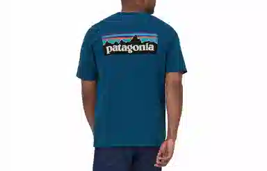 patagonia P-6Logo Responsibili LogoT