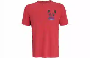 Under Armour T