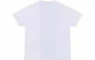 Dickies SS22 logoT