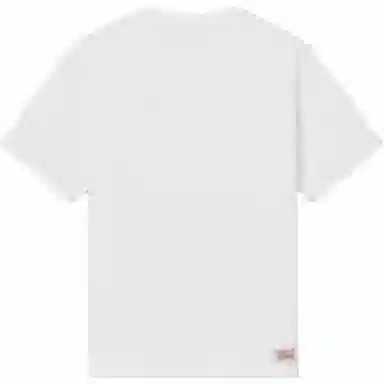 levis logoT