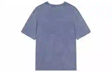 Champion SS25 Mineral Dye T