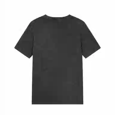 Champion SS25 Mineral Dye T