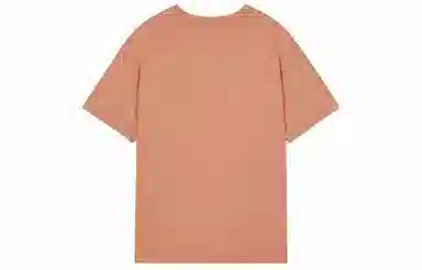 Champion SS25 Mineral Dye T
