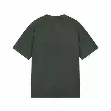 Champion SS25 Mineral Dye T