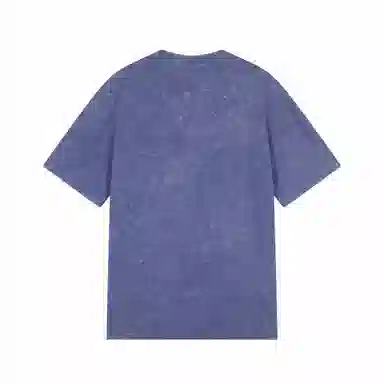 Champion SS25 Mineral Dye T