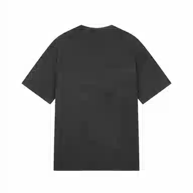 Champion SS25 Mineral Dye T