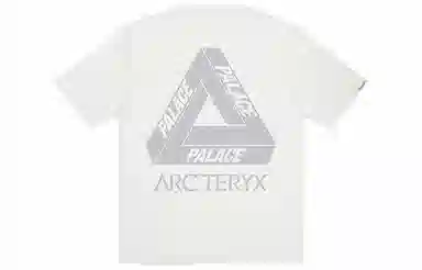 Arcteryx x Palace
