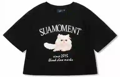 Suamoment T
