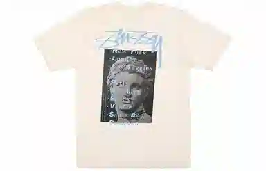 Stussy Statue Pig Dyed Tee