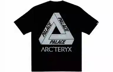 Arcteryx x Palace