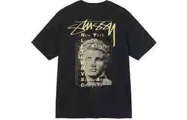 Stussy Statue Pig Dyed Tee