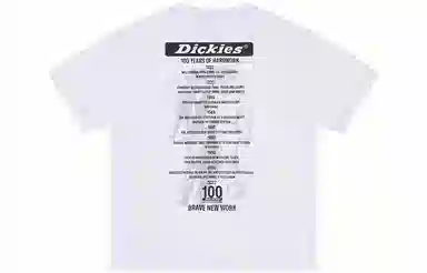 Dickies SS22 LogoT
