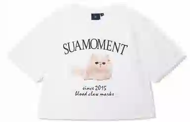 Suamoment T