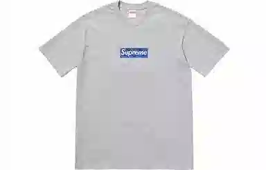 Supreme FW19 Week 17 Bandana Box Logo Tee T