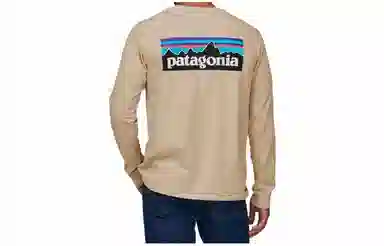 Patagonia P-6 Responsibili Tee