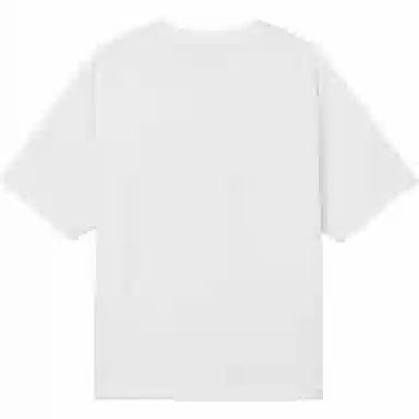 levis T