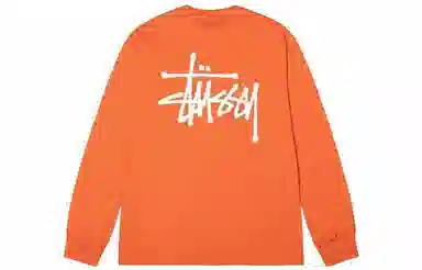 Stussy Basic Stussy LS Tee