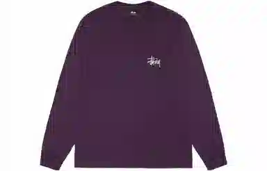 Stussy Basic Stussy Pigment Dyed Ls Tee