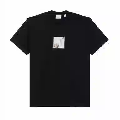 Burberry T