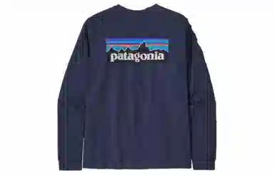 Patagonia P-6 Responsibili Tee